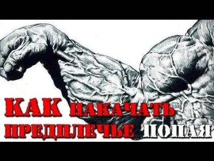 Як накачати нижню і верхню частину руки (біцепси) (руки) Як накачати нижню і верхню частину руки (біцепси)