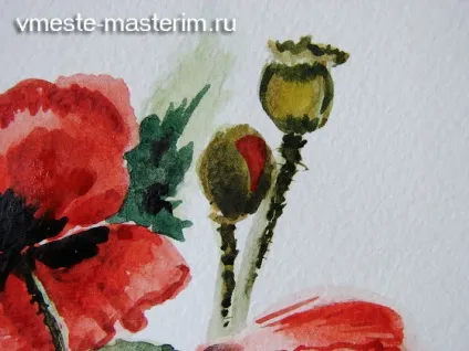 Як намалювати маки аквареллю (майстер-клас) (намалювати) Як намалювати маки аквареллю (майстер-клас)