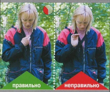Як навчити собаку концентрувати увагу на обличчі господаря навчальні статті (особі) Як навчити собаку концентрувати увагу на обличчі господаря навчальні статті
