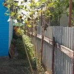 Яке відстань повинна бути між приватними будинками