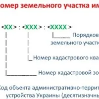 Як оформити земельну ділянку по дачної амністії у власність (оформити) Як оформити земельну ділянку по дачної амністії у власність