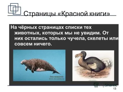 Якого кольору сторінки Червоної книги (колір) Якого кольору сторінки Червоної книги