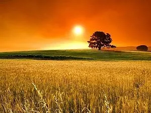 Який він цей гуммигута ярмарок майстрів - ручна робота, handmade (який) Який він цей гуммигута ярмарок майстрів - ручна робота, handmade
