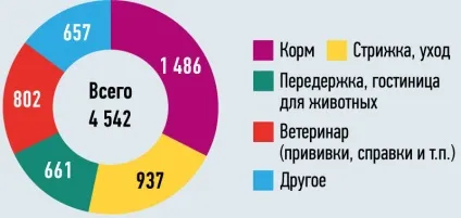 Як відкрити готель для домашніх тварин (готель) Як відкрити готель для домашніх тварин