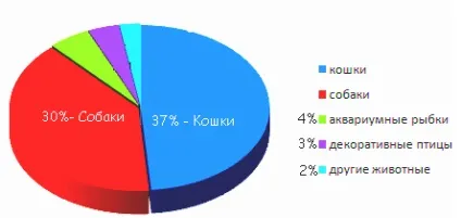 Як відкрити готель для домашніх тварин (домашніх) Як відкрити готель для домашніх тварин