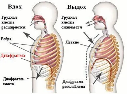 Як звільнити свій голос (здоров'я та краса) Як звільнити свій голос