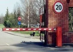 Як потрапити в закрите місто мозаїка newsland - коментарі, дискусії та обговорення новини (місто) Як потрапити в закрите місто мозаїка newsland - коментарі, дискусії та обговорення новини