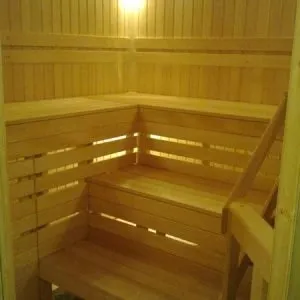 Як побудувати сауну в підвалі будинку