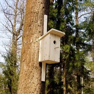 Як побудувати гараж на дачі своїми руками - фото керівництво (побудувати) Як побудувати гараж на дачі своїми руками - фото керівництво