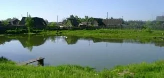 Як побудувати ставок на дачі для розведення риби (як зробити ставок для розведення риби) Як побудувати ставок на дачі для розведення риби