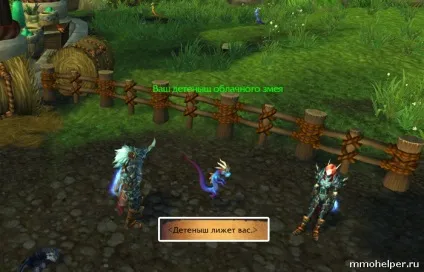 Як отримати хмарного змія в mists of pandaria (змія) Як отримати хмарного змія в mists of pandaria