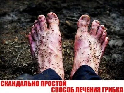Як повністю вилікувати пк (абсолютно будь-яке захворювання можна) Як повністю вилікувати пк