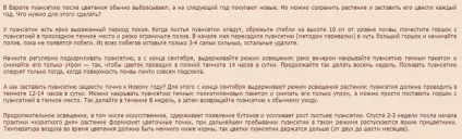 Як правильно доглядати за пуансетії (рослини) Як правильно доглядати за пуансетії