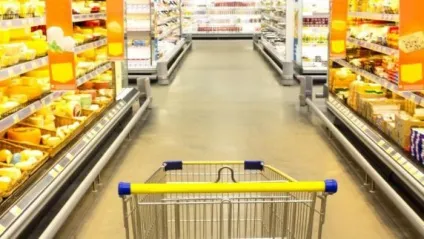 Як правильно чистити кисті для макіяжу (чистити) Як правильно чистити кисті для макіяжу