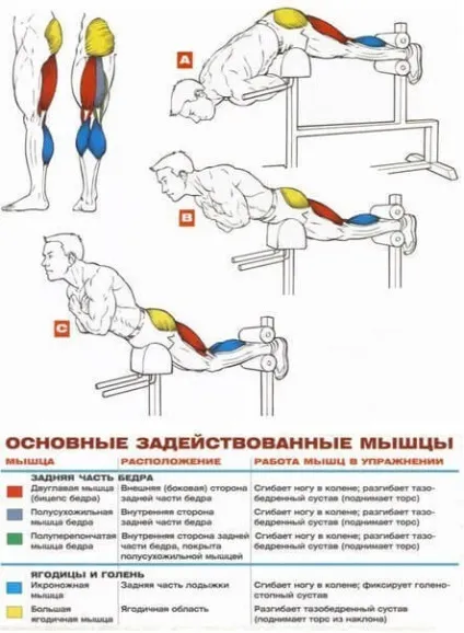 Як правильно робити гиперєкстензии