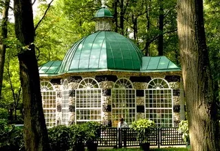 Як залучити птахів у сад на ділянку пташині будиночки, поїлки та годівниці