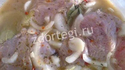Як приготувати медальйони з індичатини, рецепт з фото (індичатини) Як приготувати медальйони з індичатини, рецепт з фото