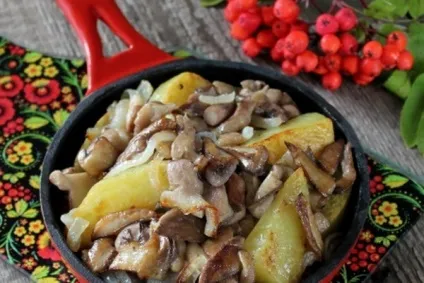 Як приготувати гриби маслюки, смажені з картоплею фото, відео, рецепти приготування маслюків (маслюки) Як приготувати гриби маслюки, смажені з картоплею фото, відео, рецепти приготування маслюків