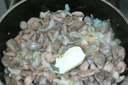 Як приготувати гриби маслюки, смажені з картоплею фото, відео, рецепти приготування маслюків (гриби) Як приготувати гриби маслюки, смажені з картоплею фото, відео, рецепти приготування маслюків