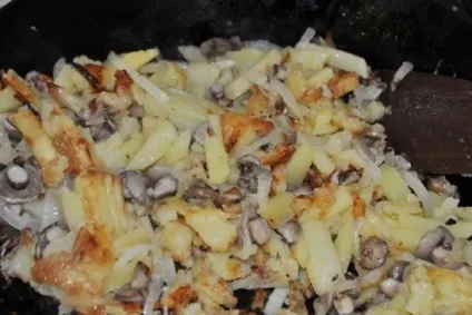 Як приготувати гриби маслюки, смажені з картоплею фото, відео, рецепти приготування маслюків (маслюки) Як приготувати гриби маслюки, смажені з картоплею фото, відео, рецепти приготування маслюків