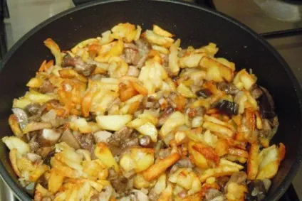 Як приготувати гриби маслюки, смажені з картоплею фото, відео, рецепти приготування маслюків (приготувати) Як приготувати гриби маслюки, смажені з картоплею фото, відео, рецепти приготування маслюків