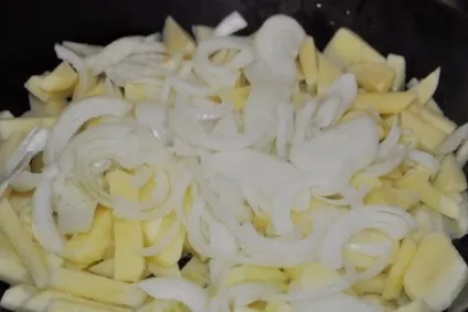 Як приготувати гриби маслюки, смажені з картоплею фото, відео, рецепти приготування маслюків (смажені) Як приготувати гриби маслюки, смажені з картоплею фото, відео, рецепти приготування маслюків