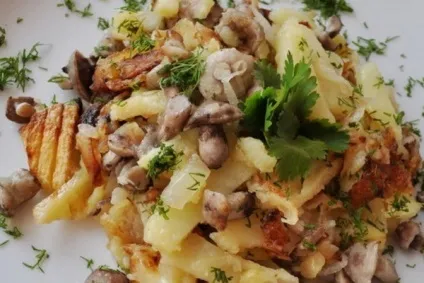 Як приготувати гриби маслюки, смажені з картоплею фото, відео, рецепти приготування маслюків (гриби) Як приготувати гриби маслюки, смажені з картоплею фото, відео, рецепти приготування маслюків