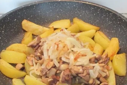 Як приготувати гриби маслюки, смажені з картоплею фото, відео, рецепти приготування маслюків (маслюки) Як приготувати гриби маслюки, смажені з картоплею фото, відео, рецепти приготування маслюків