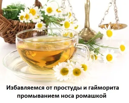 Як промивати ніс ромашкою при гаймориті в домашніх умовах, сайт про методи лікування докторів (іван чай) Як промивати ніс ромашкою при гаймориті в домашніх умовах, сайт про методи лікування докторів