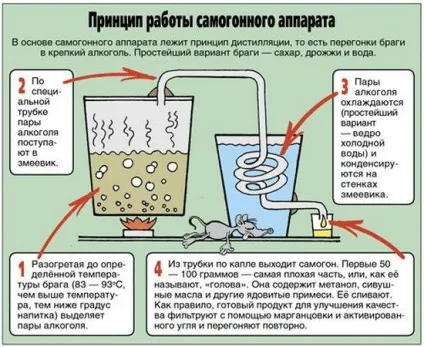 Як приготувати брагу для самогону різні рецепти браги, веселий урожайнік (брагу) Як приготувати брагу для самогону різні рецепти браги, веселий урожайнік