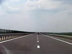 Як птиці дізнаються дорогу на південь гіпотеза, звіт 2017 рік () Як птиці дізнаються дорогу на південь гіпотеза, звіт 2017 рік
