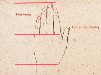 Як малювати руки руку людини кисть пальці кулак