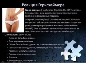 Все про грибках candida