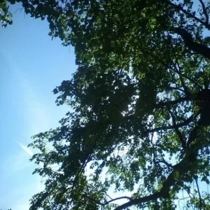 Все що ми віддаємо, невідомий, християнські вірші
