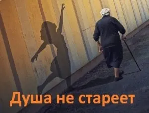 Як зробити лікувальні збори з трав в домашніх умовах (як зробити) Як зробити лікувальні збори з трав в домашніх умовах