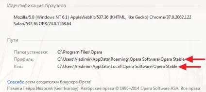 Як скинути настройки браузера (браузера) Як скинути настройки браузера