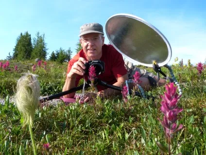 Як зробити красиві фотографії весняних квітів (фотографії) Як зробити красиві фотографії весняних квітів