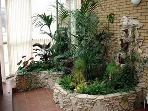 Як зробити зимовий сад своїми руками в квартирі і приватному будинку (зимовий) Як зробити зимовий сад своїми руками в квартирі і приватному будинку
