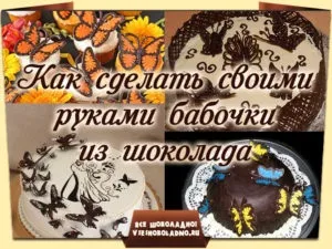Як зробити своїми руками метелики з шоколаду (зробити своїми руками) Як зробити своїми руками метелики з шоколаду