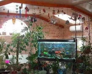 Як зробити зимовий сад своїми руками в квартирі і приватному будинку (зробити зимовий сад своїми руками квартирі приватному будинку лоджії полікарбонату побудувати дитячий) Як зробити зимовий сад своїми руками в квартирі і приватному будинку