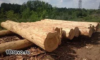 Як зробити зруб з кругляка своїми руками етапи і технологія будівництва - легка справа (кругляка) Як зробити зруб з кругляка своїми руками етапи і технологія будівництва - легка справа