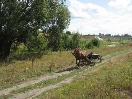Як зробити сани або віз для коня - покрокова інструкція та креслення - легка справа (коні) Як зробити сани або віз для коня - покрокова інструкція та креслення - легка справа