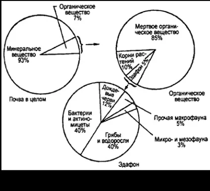Як середовище проживання (рухомий сухому середовищі) Як середовище проживання
