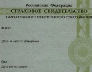 Як дізнатися СНІЛС співробітника через інтернет (інтернет) Як дізнатися СНІЛС співробітника через інтернет
