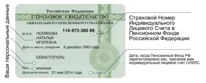 Як дізнатися СНІЛС співробітника через інтернет (інтернет) Як дізнатися СНІЛС співробітника через інтернет