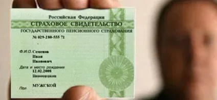 Як дізнатися СНІЛС співробітника через інтернет (інтернет) Як дізнатися СНІЛС співробітника через інтернет
