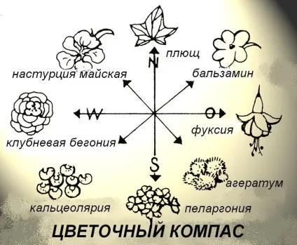 Як прикрасити будинок зовні квітами (фасад) Як прикрасити будинок зовні квітами
