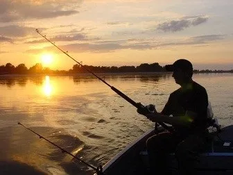 Як вибрати спінінг на щуку поради для початківців (виборі спінінга щуку) Як вибрати спінінг на щуку поради для початківців