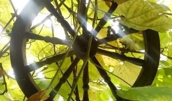 Як вибрати будівельну фірму для зведення приватного будинку (як вибрати будівельну фірму для зведення приватного будинку) Як вибрати будівельну фірму для зведення приватного будинку