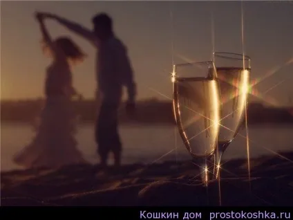 Як вести себе з улюбленим, котячий будинок (вами людина народжена знаком) Як вести себе з улюбленим, котячий будинок